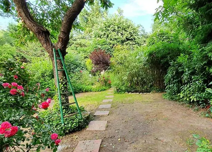 Rez De Jardin De Maison Avec Grand Jardin Exclusif
