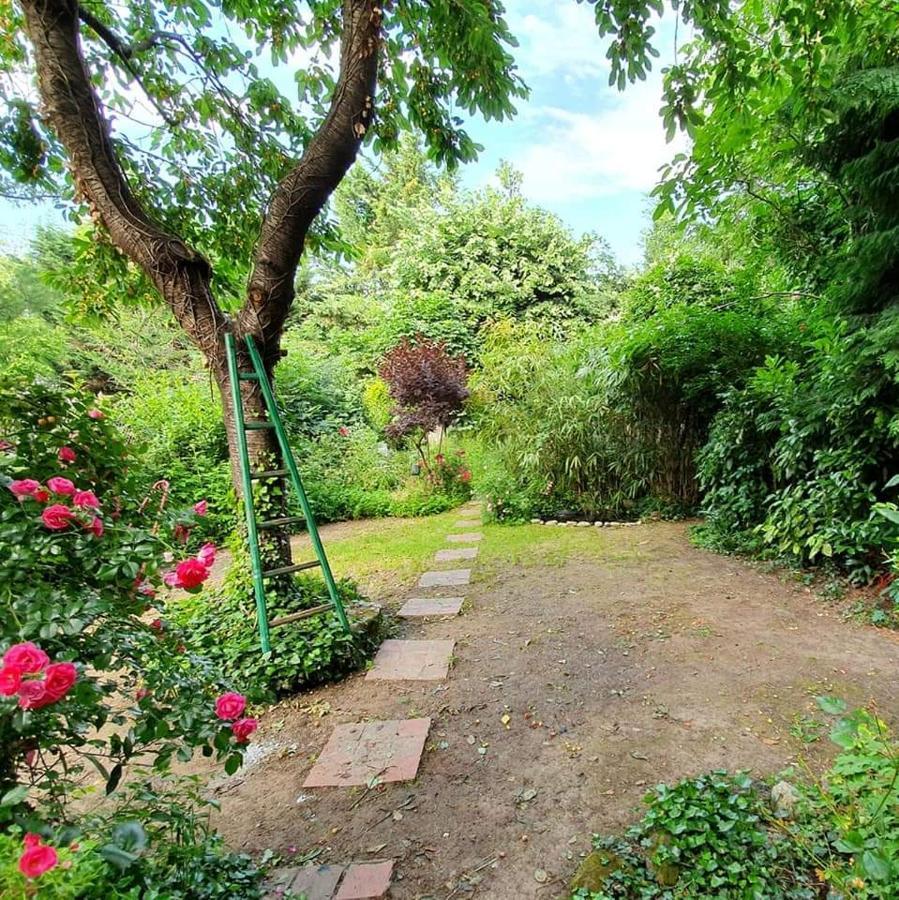 Rez De Jardin De Maison Avec Grand Jardin Exclusif * Villejuif